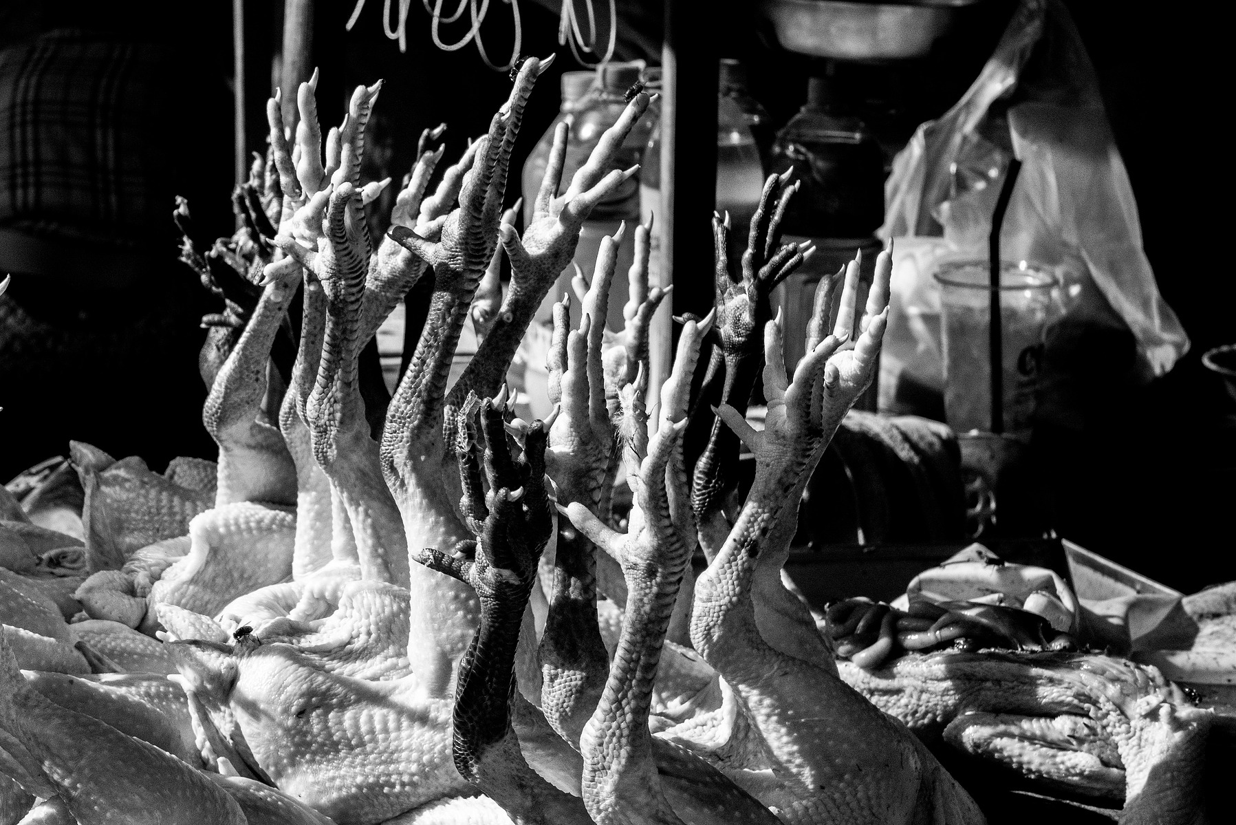 A scene in the a wet market in Siem Reap