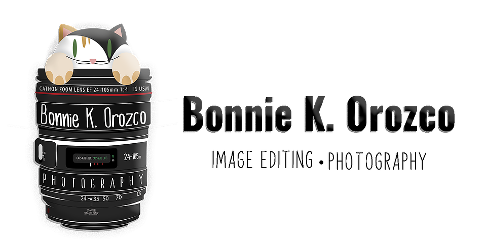 Bonnie  K Orozco's Portfolio