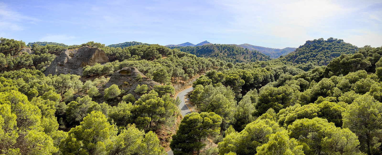 Roads of southern Spain. Espanja. Maisemakuva. Siiligraphy photo.