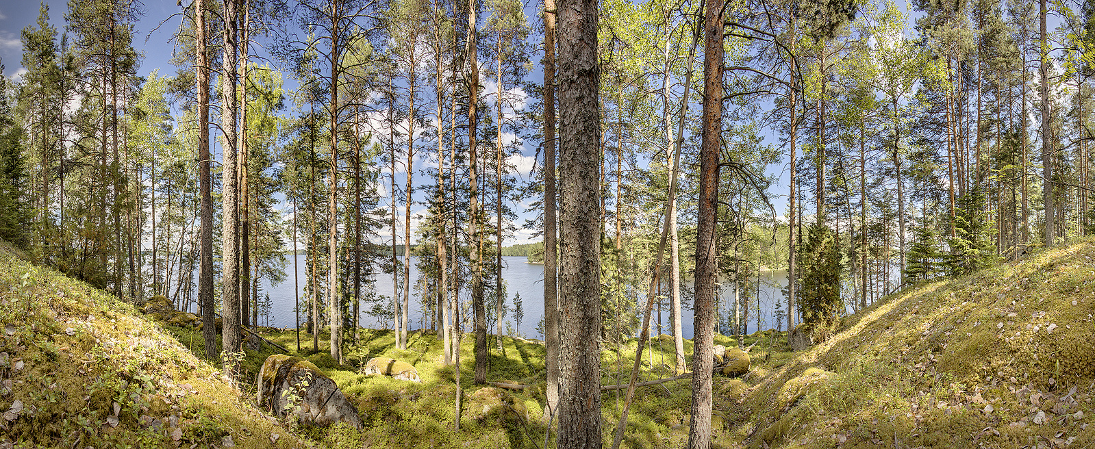 Finnish summer. By the lake in Finland countryside. Länsi-Savo, Haukivuori, Mikkeli. Maisemakuva. Järven rannallla. Siiligraphy photo.