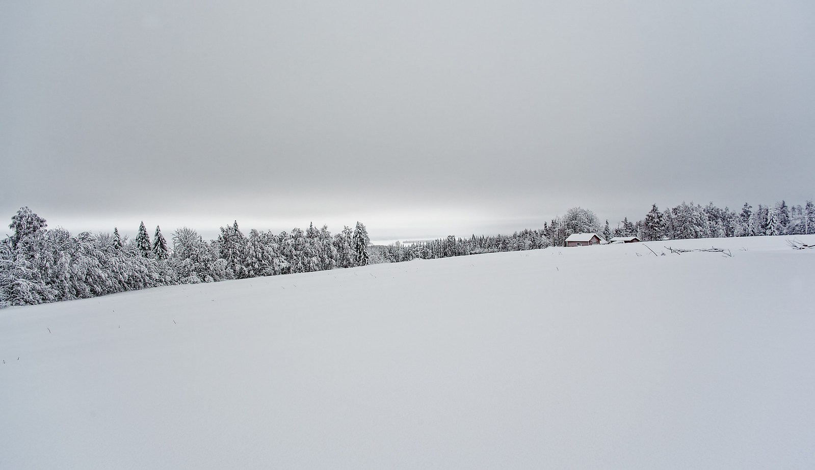 Lappland. North Finland. Lanscape. Lappi. Maisemakuva. Suomi. Siiligraphy photo