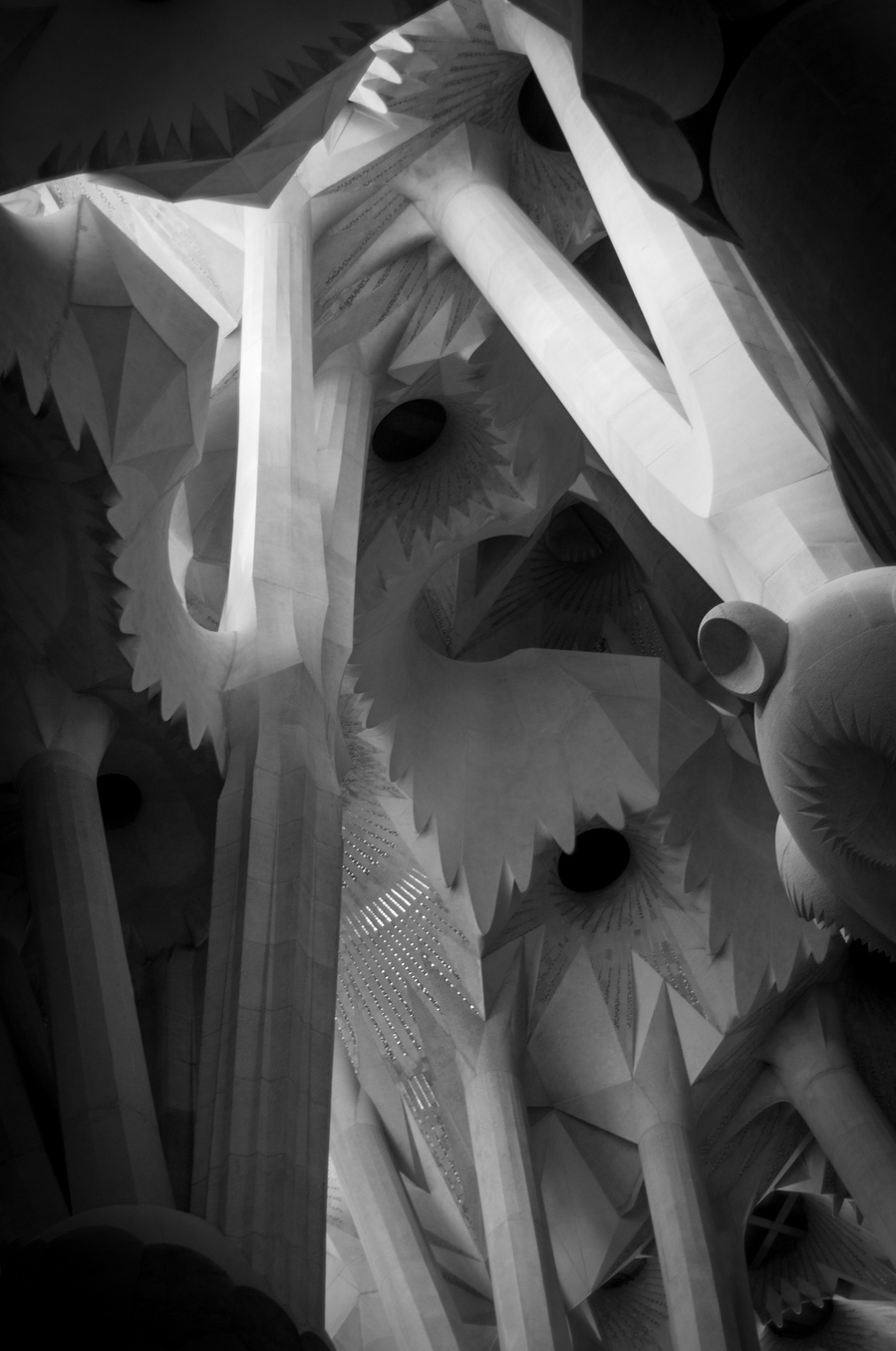 Sagrada Familia Cathedral, Barcelona Spain