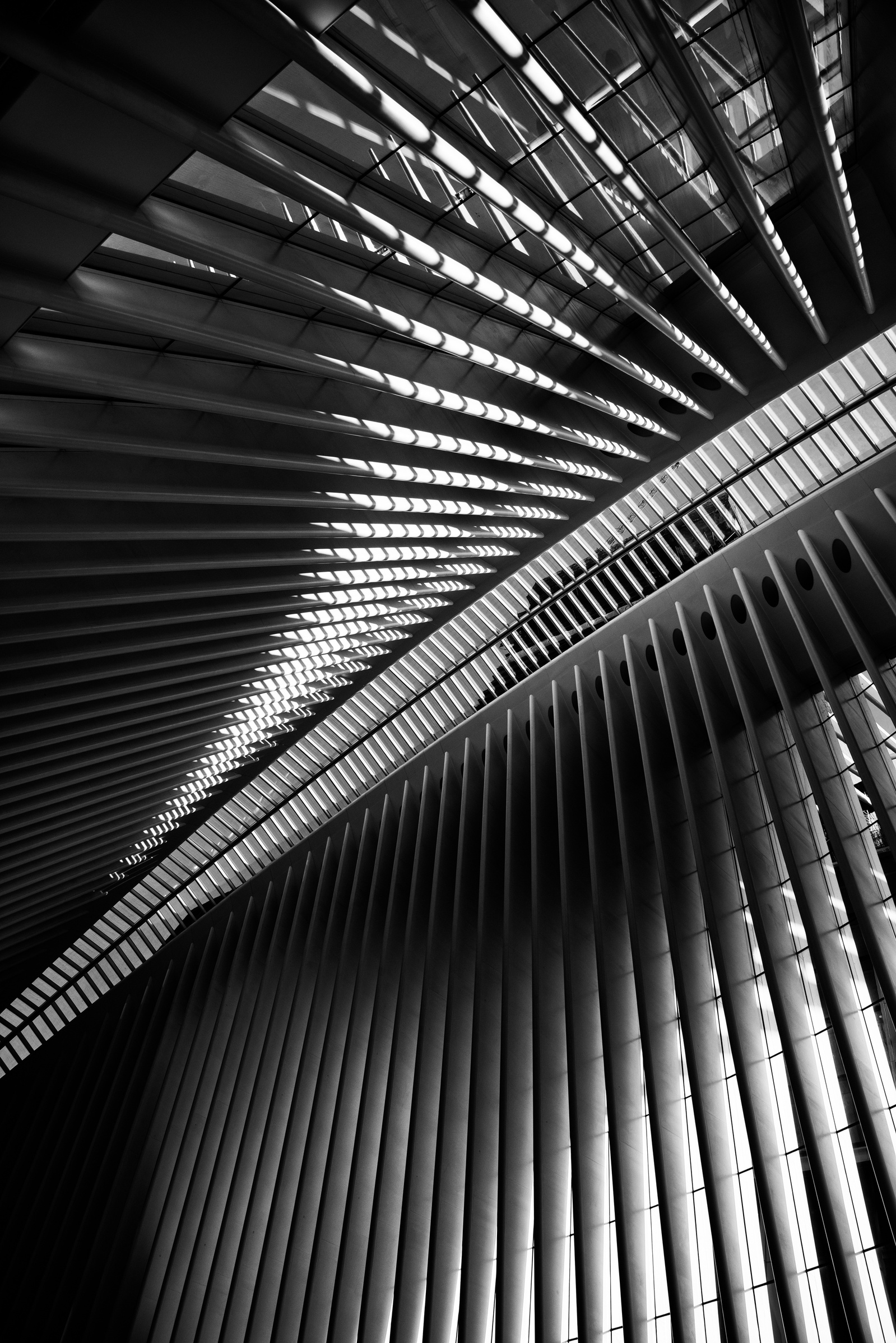 Calatrava Transportation Center, New York. The Oculus - abstract architecture in black and white 