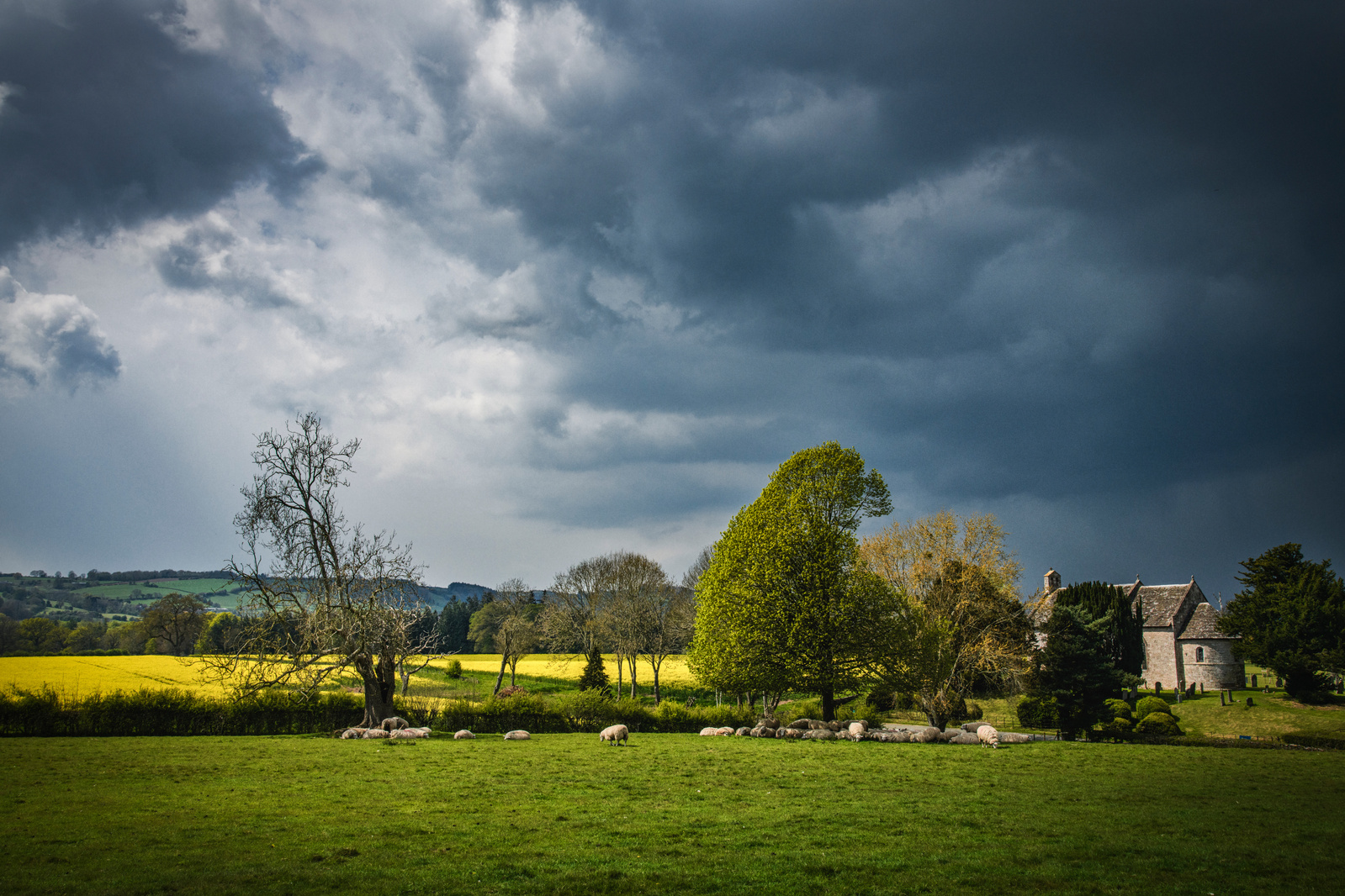 Moccas, Herefordshire in England as a storm rolls in over the rapeseed field
