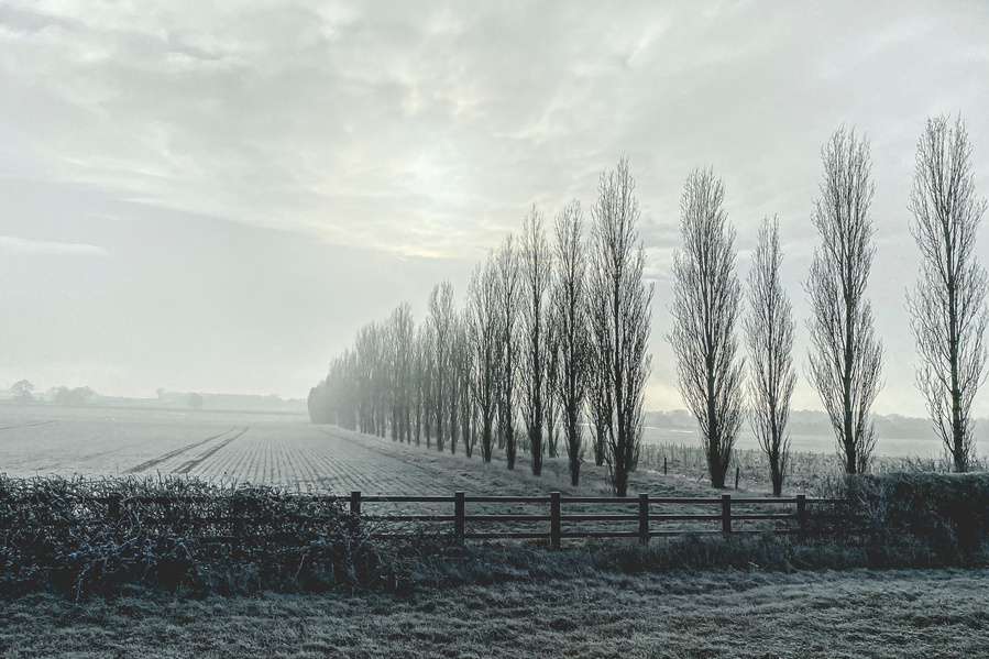 One of the paths in Oxfordshire, D'Arcy Dalton Path, lined with poplar trees in winter.