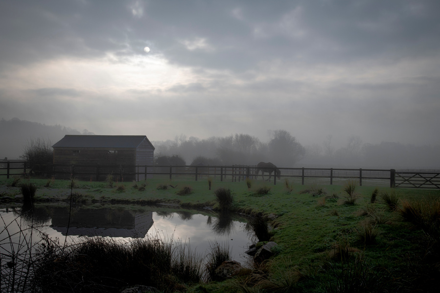 The pond the sunrise mist, Little Coxwell, Oxfordshire.