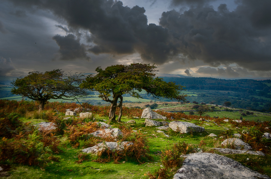 Dartmoor National Park as a storm passed over. Fall colors and windblown trees.