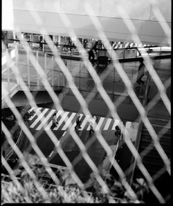 An award-winning black and white photo taken on a Mamiya 645j in Shibuya Japan.