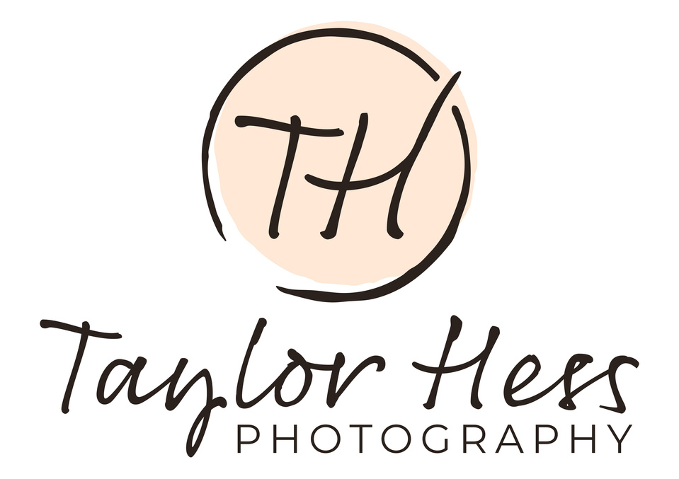 Taylor Hess's Portfolio