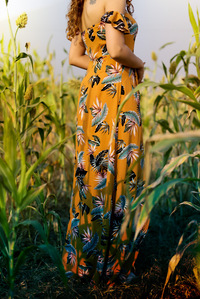 the style chair aleena Mackar model standing in stunning gown in the fields during sunrise concept photoshoot by best fashion photographer in india mumbai