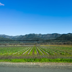 landscapes at the napa valley travel stories by best fashion photographer based in mumbai india
