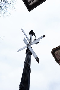 a concept travel story shoot of a silhouette of road sign shot from a low angle by leading advertising photographer ashish gurbani based in mumbai india