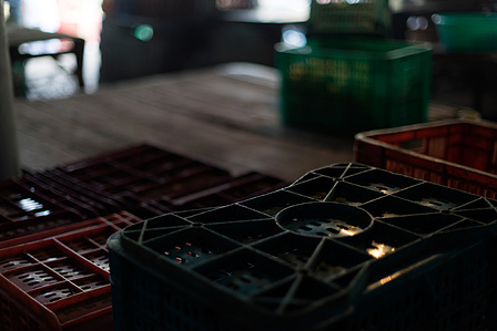 crates of vegetables shot by best advertising photographer from mumbai