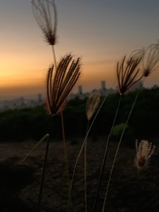 a professional photograph taken in an outdoor setup of the sunset long exposure shot on iphone by best still life photographer ashish gurbani based in pune india
