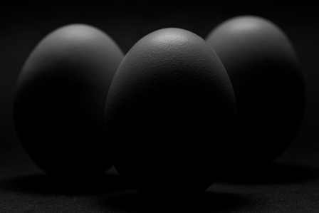 an editorial shot of monochrome eggs shot in a studio in an abstract form with strobe lighting setup by creative abstract still life photographer ashish gurbani based in Pune India
