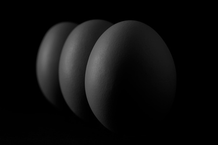 a professional concept group shot of 3 eggs with soft lighting in a studio setup photoshoot with the top abstract art photographer ashish gurbani based in pune india