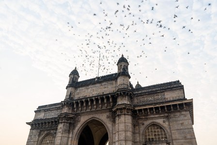 A flock of birds flying over the Arabian sea and the Gateway of India on a summer evening shot by Ashish Gurbani top travel photographer based in Mumbai India.  