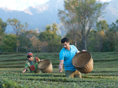 a model posing in tea plantations during golden sunlight for advertising photoshoot in mumbai