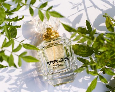 a Roberto Cavalli luxury perfume bottle kept on a green leaves set under direct hard sunlight for advertising campaign by leading perfume bottle photographer based in pune india