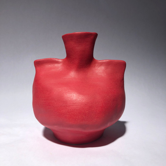 	 a red vase that looks similar to a hot water bottle used to ease pain, however the base is much more round than a hot water bottle, thus the name hot water bottle body