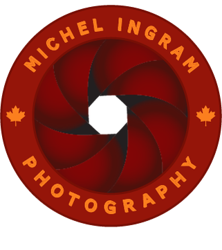Michel Ingram's Photography