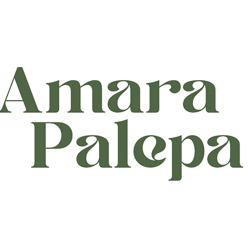Amara Stibbie's Portfolio