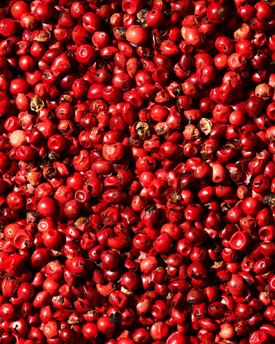 Closeup image of pink peppercorns.