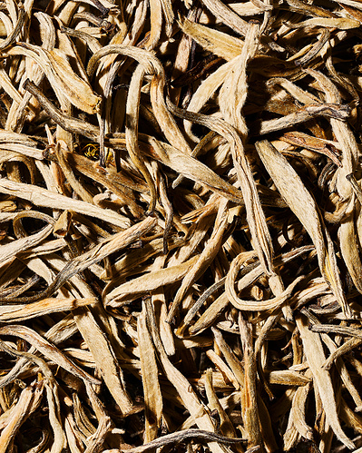 Close-up image of dried white tea leaves.