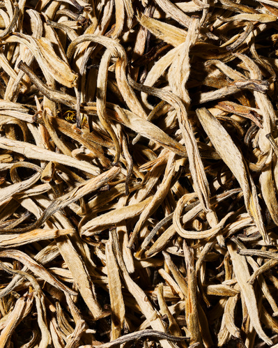 Close-up image of dried white tea leaves.