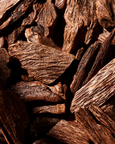 Close-up image of Oud wood chunks.