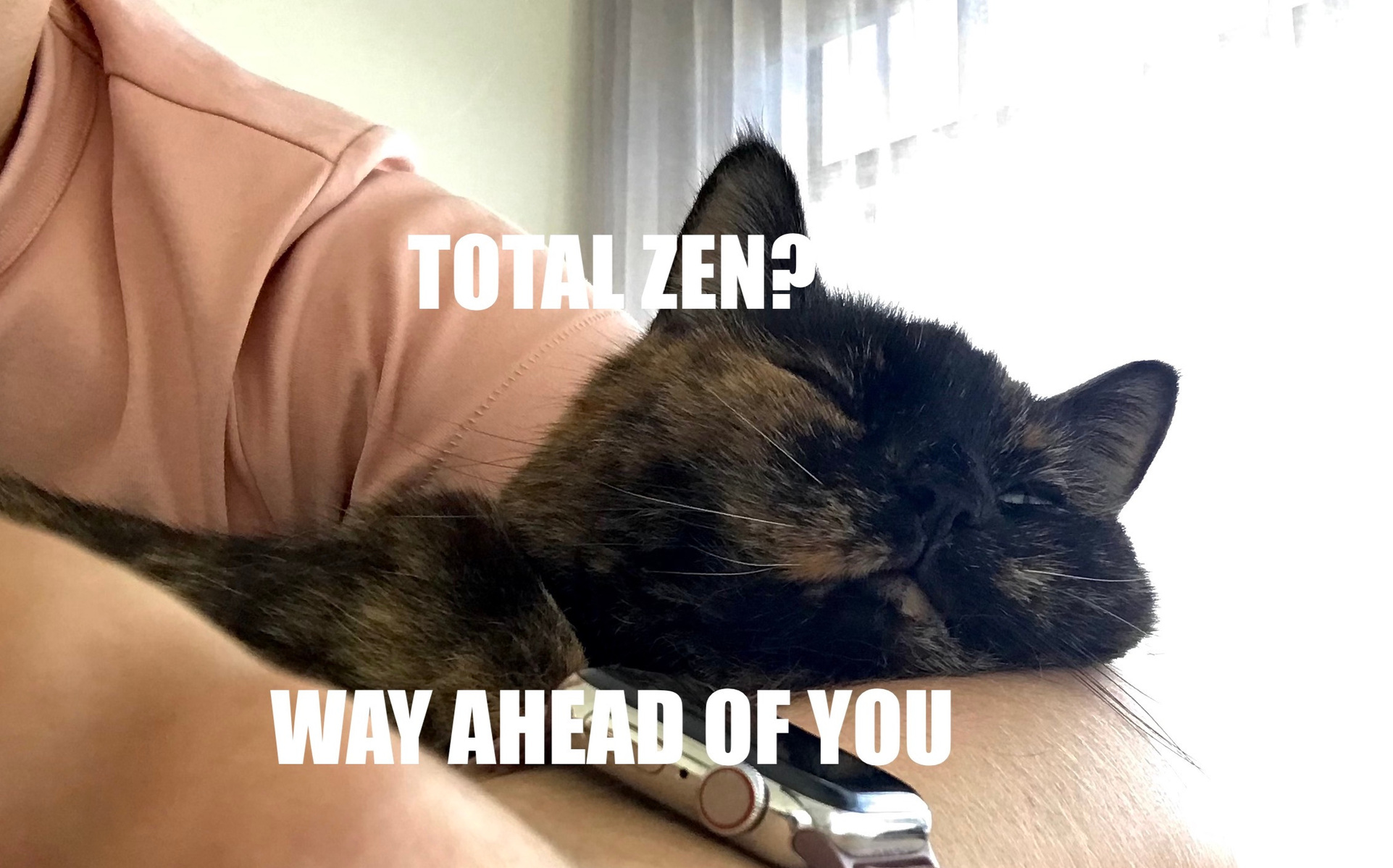 Hazel Slager cat in pure zen Candace Slager blog