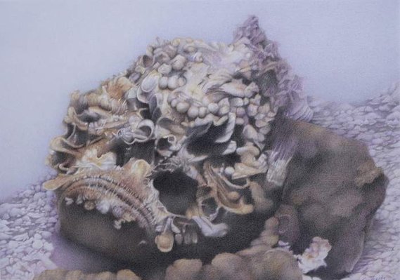 Candace Slager I want to speak to the manager Bluethumb 'A Touch of Whimsy' Curator's Pick