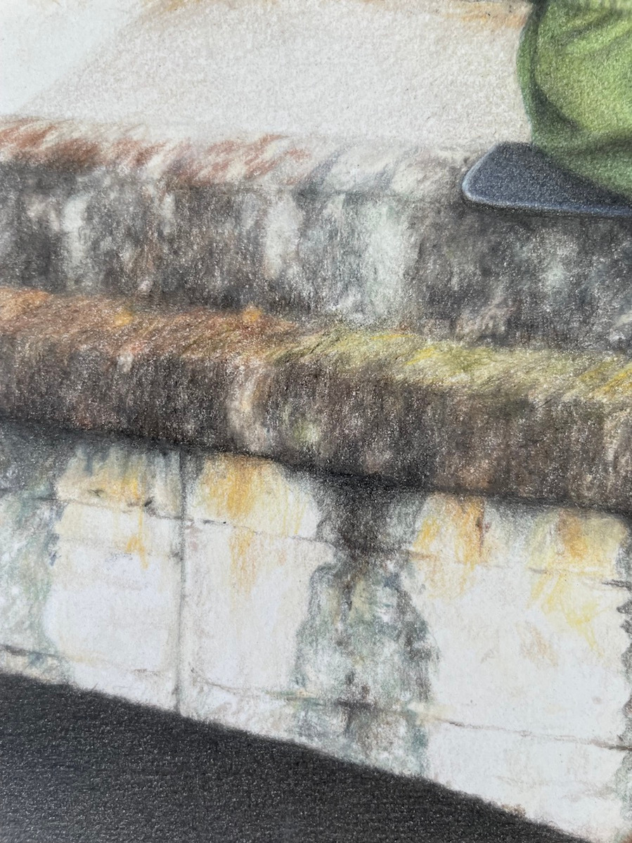 Philosophers Path artwork by Candace Slager. Shows mould growing on bridge