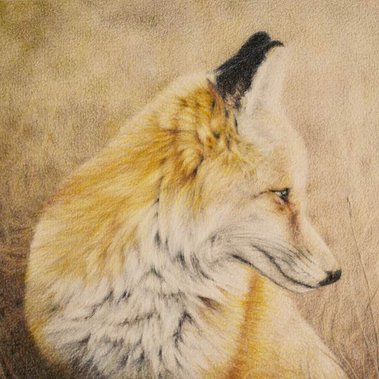 Artwork by Candace Slager