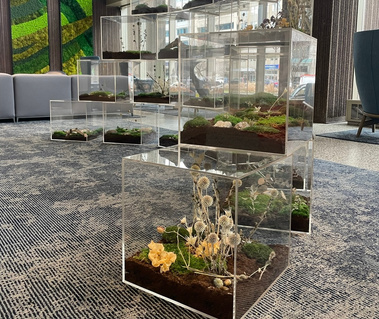 Public Art, Permanent work, Commision, Private Collection, Eco-Art, Preserved Art, Preserved Nature, Eco-Art, Art and Ecology, Rewilding, Contemporary Sculpture, Contemporary Art, Installation, Public Artwork, Nature and Art