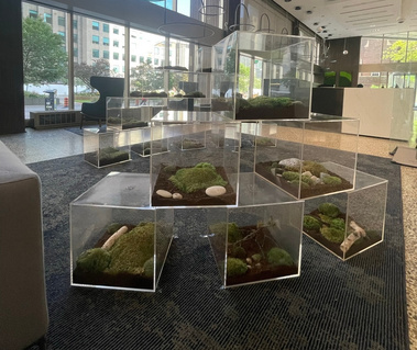Public Art, Permanent work, Commision, Private Collection, Eco-Art, Preserved Art, Preserved Nature, Eco-Art, Art and Ecology, Rewilding, Contemporary Sculpture, Contemporary Art, Installation, Public Artwork, Nature and Art