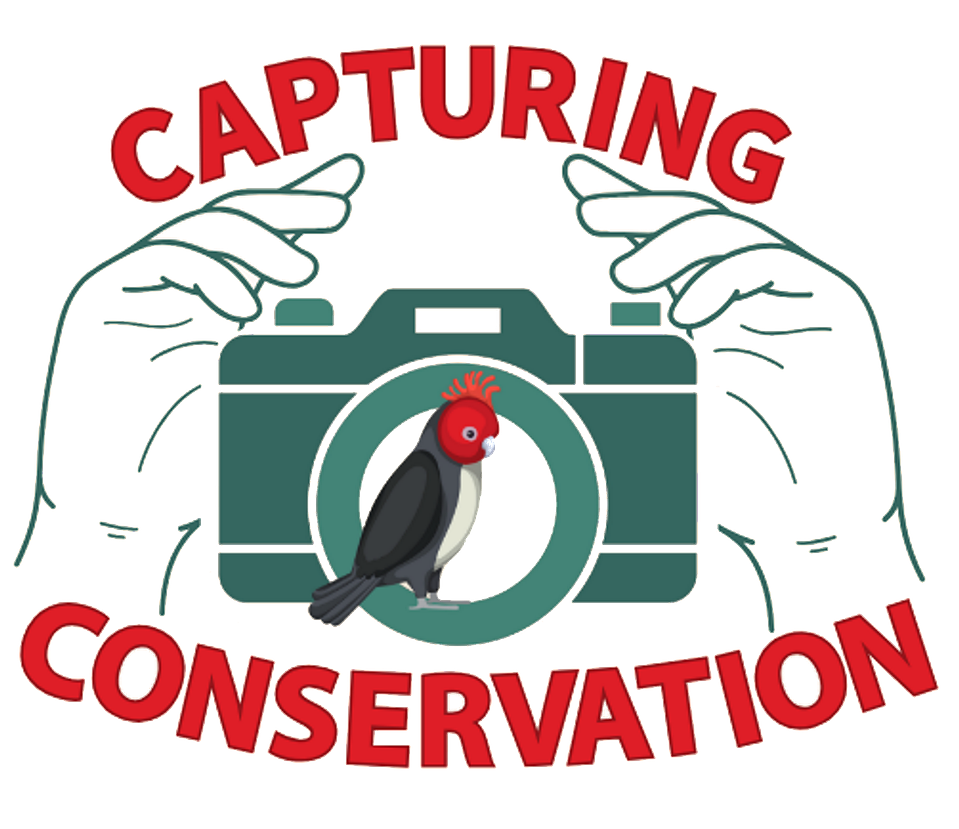 Capturing Conservation's Portfolio