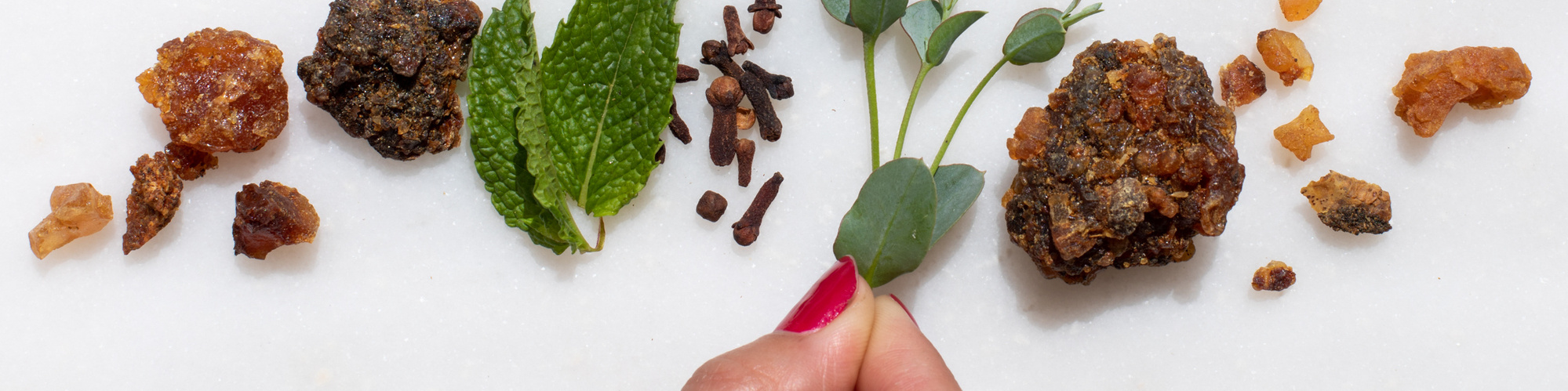 A hand adjusts a sprig of sage and other natural objects. 