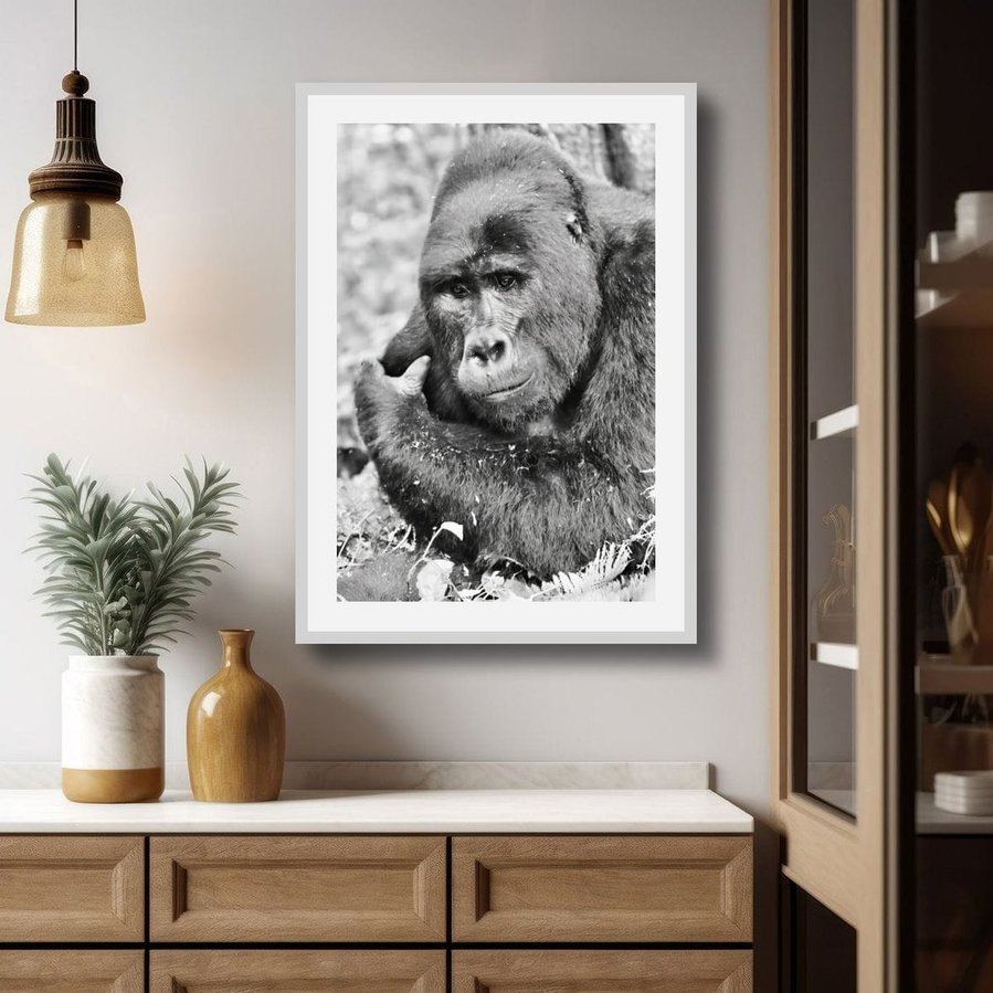 Black and white wildlife portrait of a mountain gorilla caught in a quiet moment of reflection. His soft gaze and relaxed posture evoke a sense of calm, emotional depth, and connection in this fine art photograph.