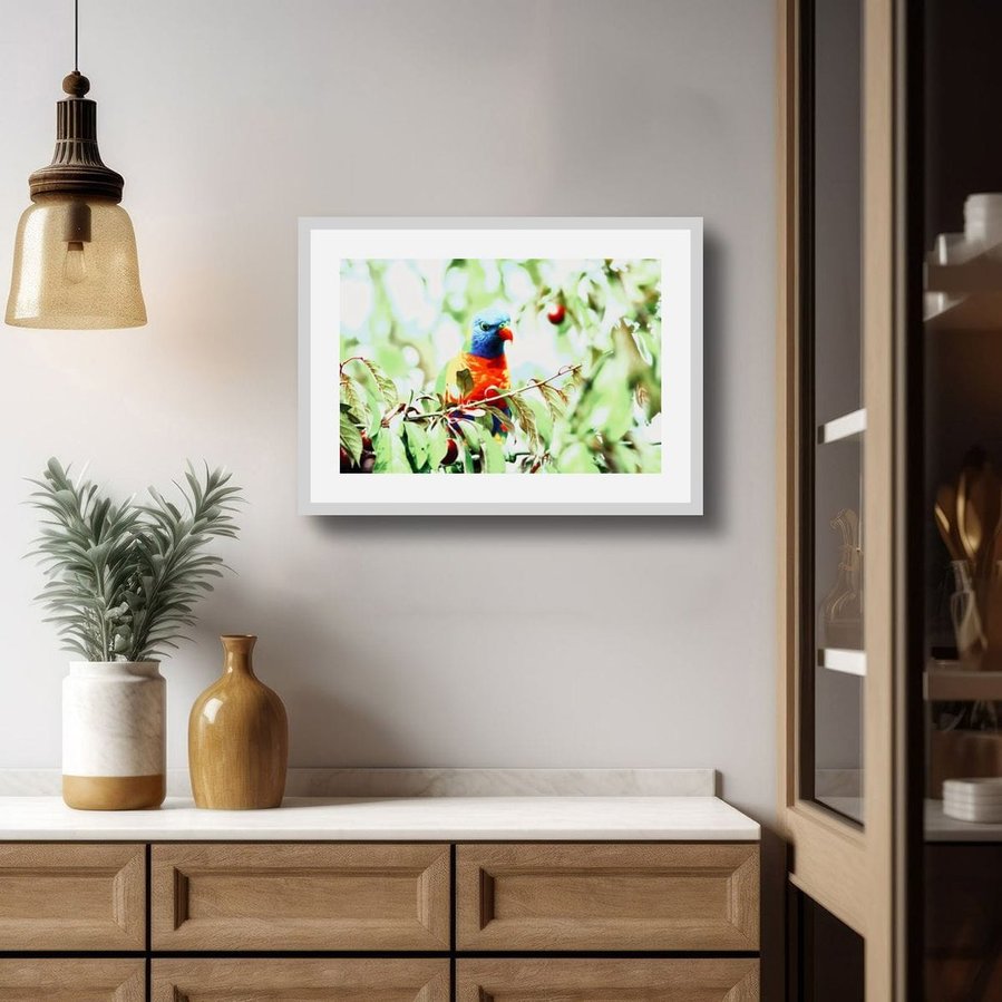 Perched quietly on a fruit-laden branch, this Rainbow Lorikeet radiates calm vibrancy. Surrounded by soft foliage and dappled light, the bird’s vivid plumage glows with painterly precision in a white frame.