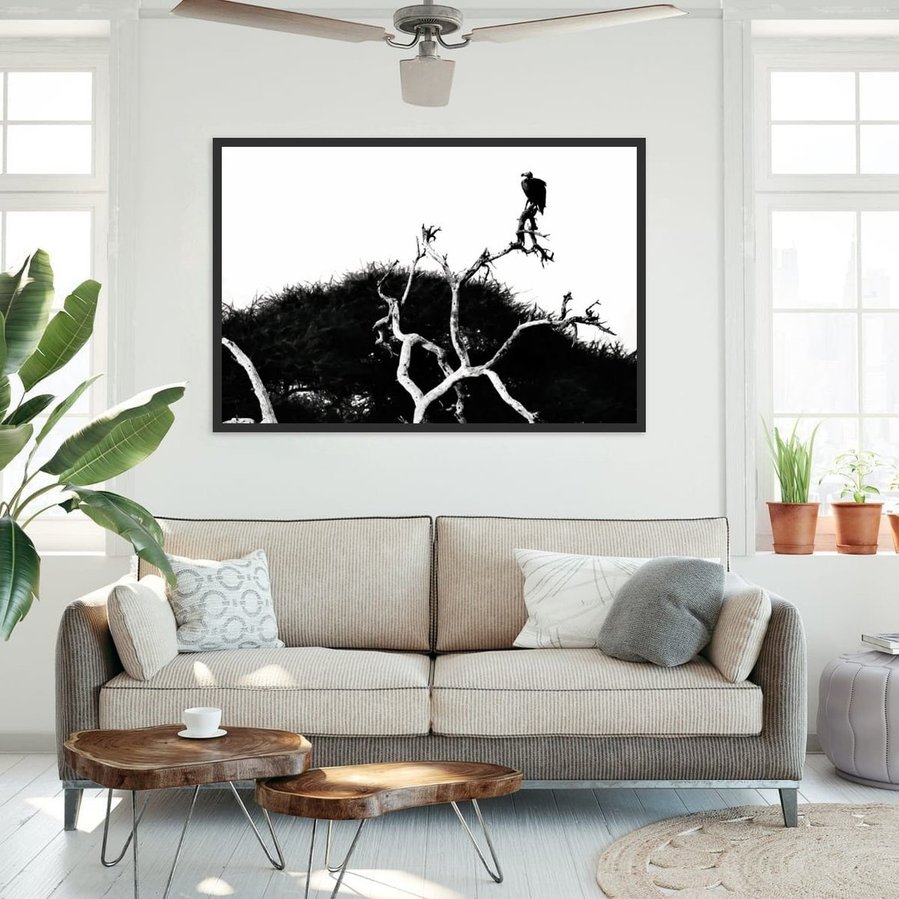 Black and white photograph of a vulture perched high in a tree, its dark silhouette standing against the open sky. The striking contrast highlights its bold form and commanding presence as it surveys the vast horizon. 