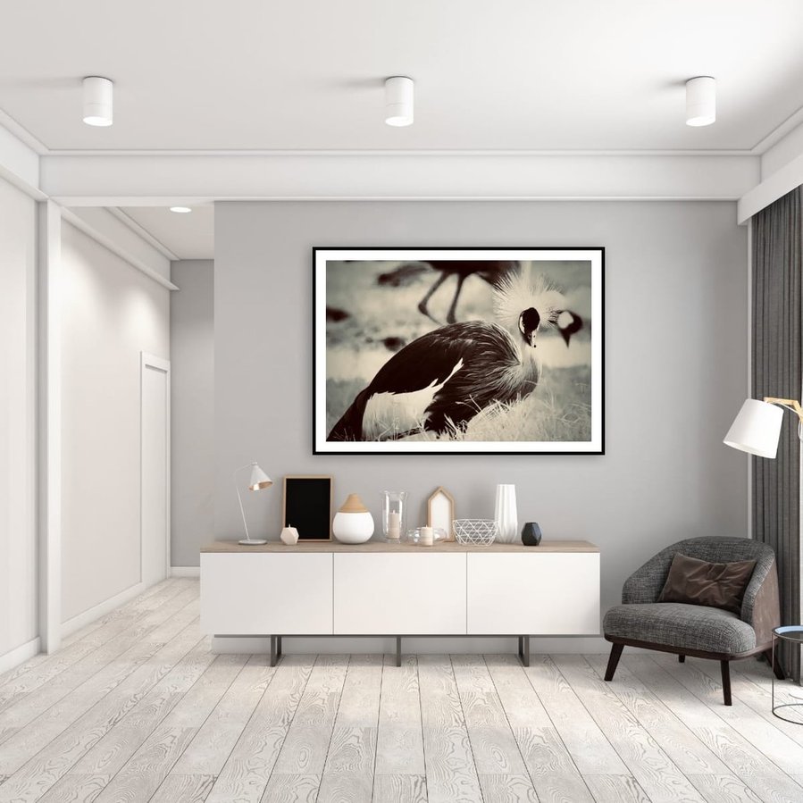 A striking portrait of Uganda’s national bird, captured in an intense, direct gaze. Its sharp eyes and intricate feathers showcase the wild beauty and spirit of Uganda’s rich avian life.