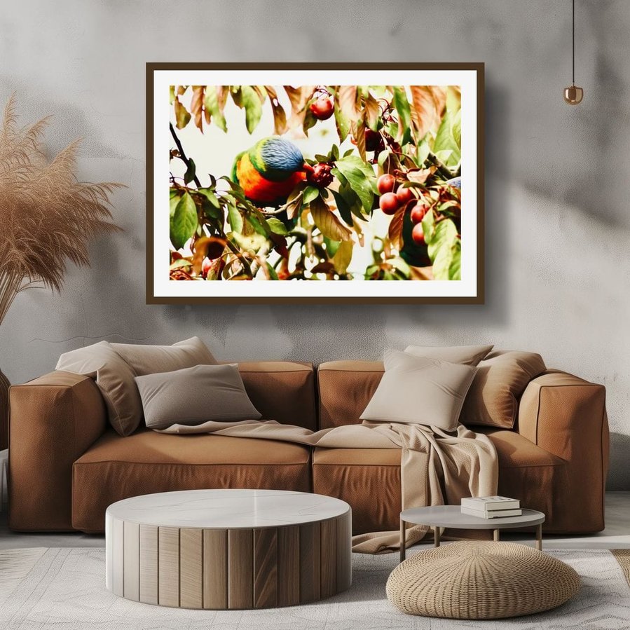 Beneath the shelter of overhanging leaves, a rainbow lorikeet sinks into a ripe plum—beak pressed gently into fruit, body surrounded by the orchard’s soft abundance in a walnut frame.