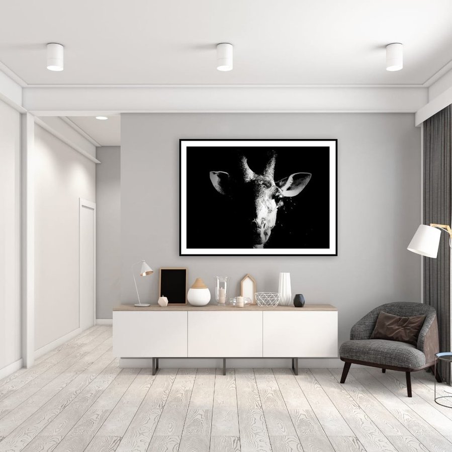 A close-up black and white portrait of a giraffe, with half its face in shadow against a dark background. This dramatic wildlife photograph highlights the giraffe’s graceful features, intricate patterns, and striking contrast between light and darkness.