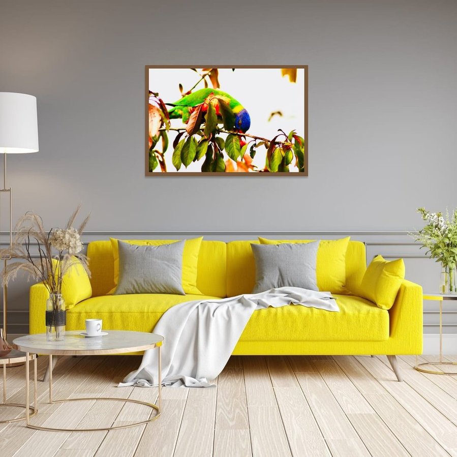 Nestled in the branches of a plum tree, this rainbow lorikeet bows low into the foliage, foraging for fruit with vibrant purpose. Its feathers—an electric blaze of green, blue, and flamen a walnut frame with full bleed.