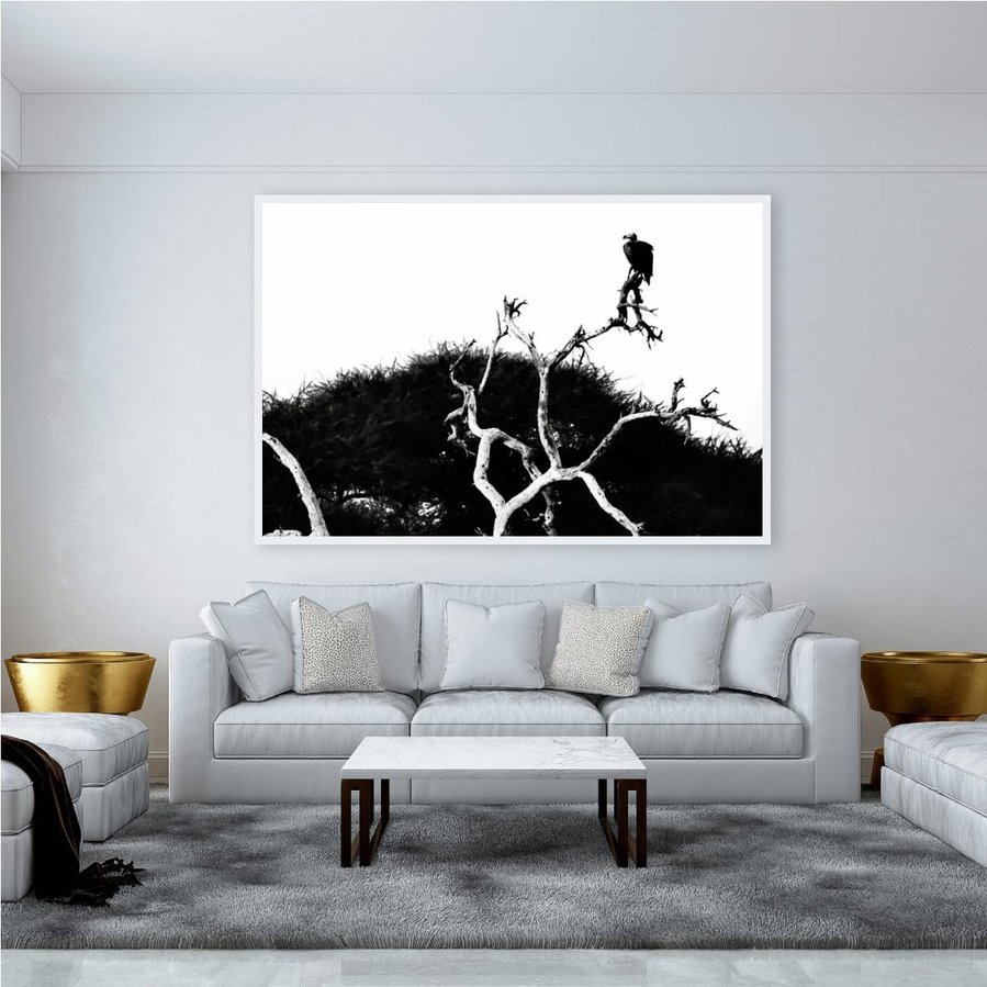 Black and white fine art photograph of a vulture perched high in a tree, its dark silhouette etched against the sky. The dramatic contrast and graphic lines highlight the bird’s striking form and presence, evoking both mystery and reverence.