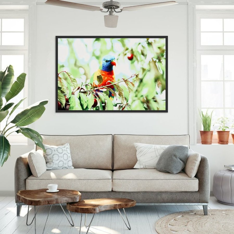 Perched quietly on a fruit-laden branch, this Rainbow Lorikeet radiates calm vibrancy. Surrounded by soft foliage and dappled light, the bird’s vivid plumage glows with painterly precision in a black frame.