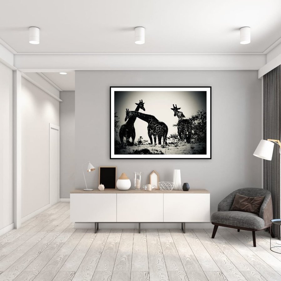 Black and white fine art photograph of three giraffes in silhouette, captured in the wild. One giraffe leans across another in a moment of connection and calm. A dramatic, emotional portrayal of giraffes in the African landscape.
