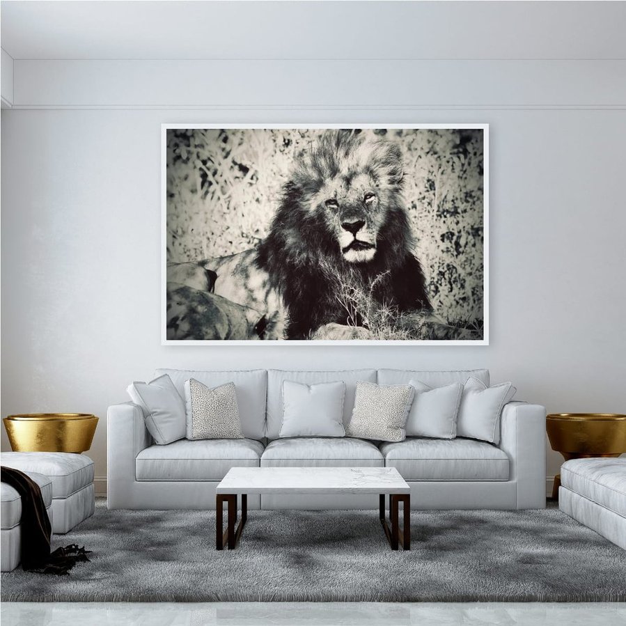 Black and white with warm tones fine art portrait of a male lion in Kenya’s Maasai Mara. This powerful wildlife image captures the lion’s intense gaze, majestic mane, and raw, untamed presence in the heart of the savanna.