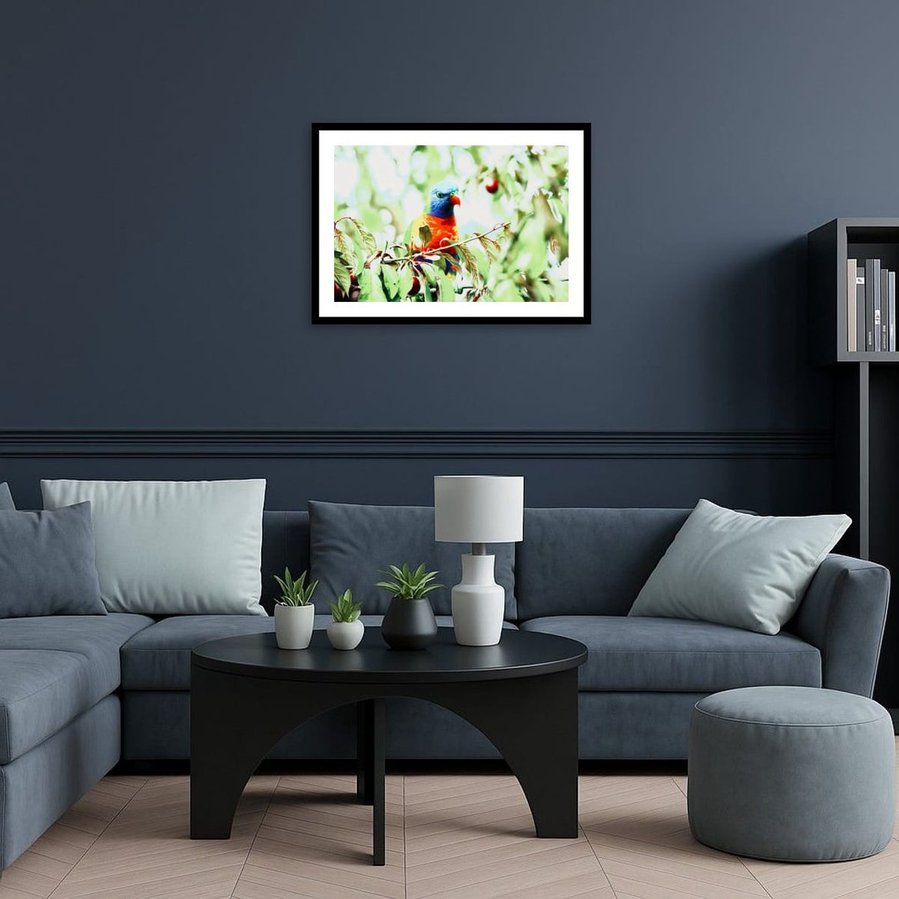 Perched quietly on a fruit-laden branch, this Rainbow Lorikeet radiates calm vibrancy. Surrounded by soft foliage and dappled light, the bird’s vivid plumage glows with painterly precision in a black frame.
